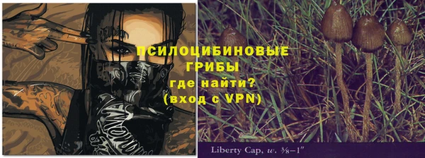 ГАЛЛЮЦИНОГЕННЫЕ ГРИБЫ Волосово