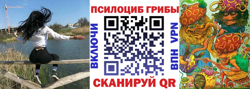 Псилоцибиновые грибы Psilocybe  Пенза 